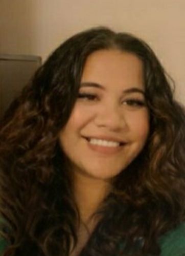 Customer photo review of Tonga 676 Car Seat Covers - Tongan Pattern - LT12