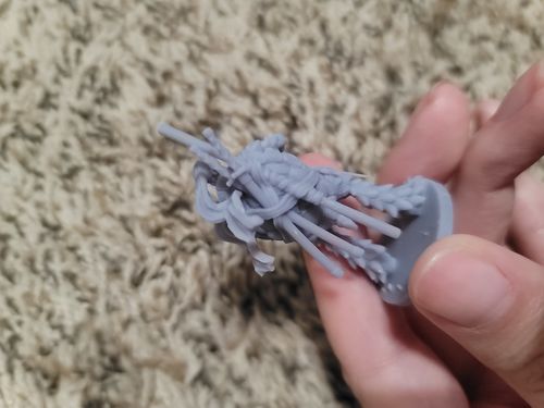 Customer photo review of Tortle Male Ninja Tabletop Miniature