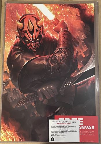 Customer photo review of Apprentice in the Shadows