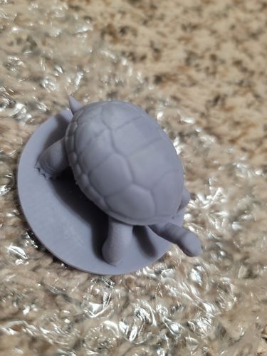 Customer photo review of Giant Tortoise Tabletop Miniature