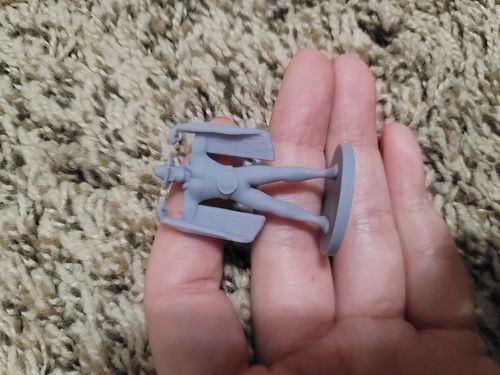 Customer photo review of Male Dwarf Wrestler Bard Tabletop Miniature