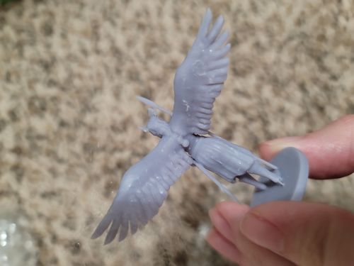 Customer photo review of Valkyrie Tabletop Miniature
