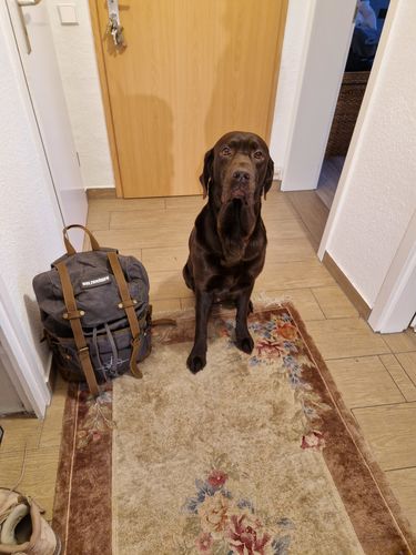 Customer photo review of Rucksack mit Patch (🌲)