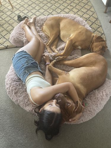 Customer photo review of Calming Couch Bed