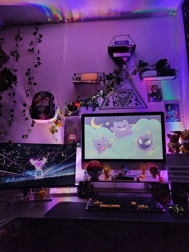 Customer photo review of Immersive RGB Painter Light - Kit