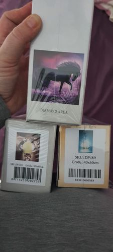 Customer photo review of Diamond Painting XXL Überraschungspaket (3 Motive)