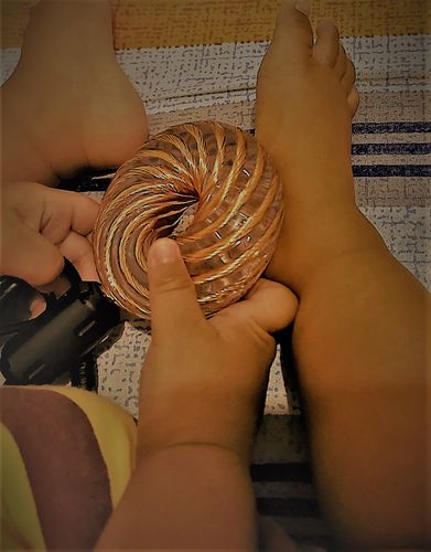 Customer photo review of Qi Coil™ 2 Parasite Detox System with Resonant Console 1