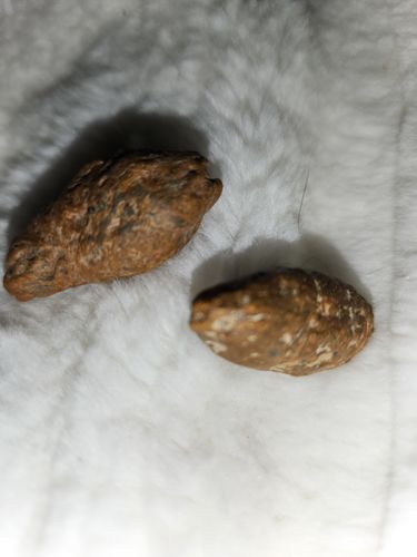 Customer photo review of Fossile sacré Thaï Hin Dakder Mahaniyom - Rituel magique bénédiction parfum.