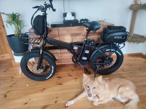 Customer photo review of CMACEWHEEL GW20 750W 20" Fat Bike Foldable E-Mountain Bike 15Ah 40km/h 100km