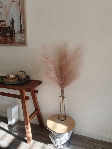 Fotorecensie van een klant over Faux Pampas 110cm (3 stengels)- Crème