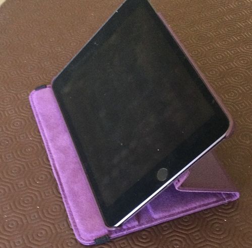 Customer photo review of Premium Leather iPad Case