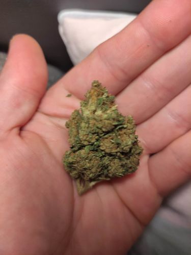 Customer photo review of New York Diesel - Mr Kush Selection