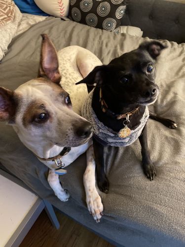 Customer photo review of Beach Silicone