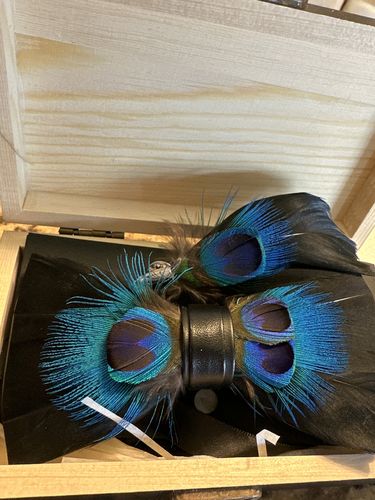 Customer photo review of The Leonardo- Feather Bow Tie