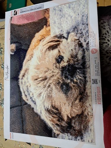 Customer photo review of Glitzersteine (AB) für personalisierte Diamond Paintings (Eigenes Bild)