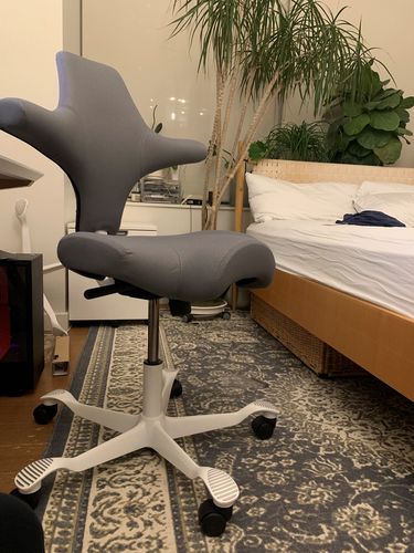 Customer photo review of Capisco Saddle