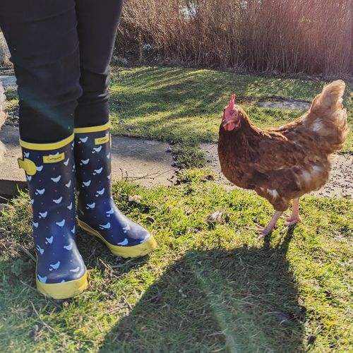 Customer photo review of Kids Farmyard Wellington Chick