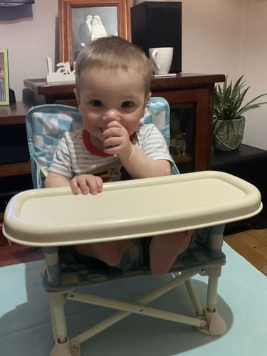 Customer photo review of Harper baby chair