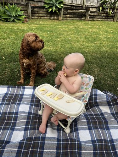 Customer photo review of Sailor baby chair