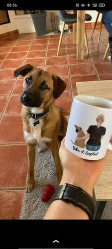 Customer photo review of Mug Personnalisé - Femme et Chien