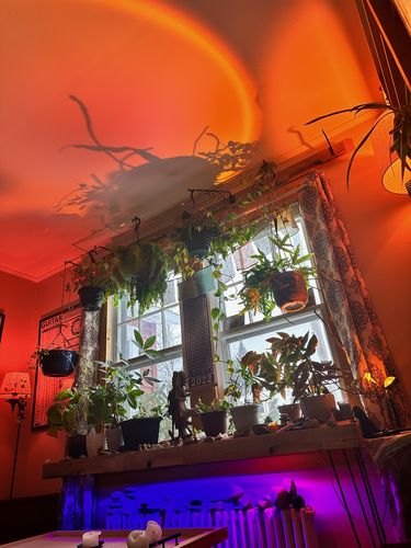 Customer photo review of The Sunset Lamp™