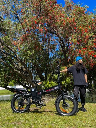 Customer photo review of Wallke H6 Dual Battery Folding Electric Bike