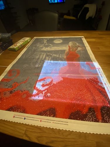 Customer photo review of 5D Diamond Painting Captive