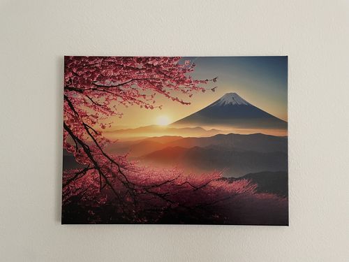 Customer photo review of Mount Fuji Cherry Blossom Sunrise