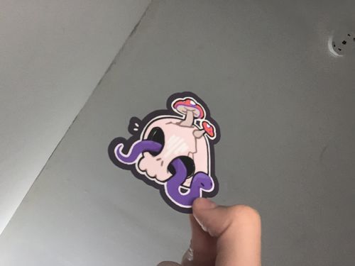 Customer photo review of Snakes in Skulls Stickers!