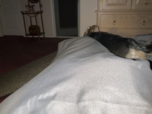 Customer photo review of Duo Duvet (Cover Only)