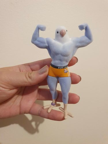 Customer photo review of What The Bird Love Bird Series Blind Box