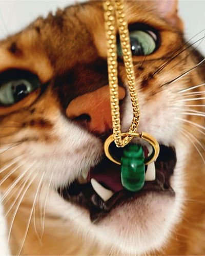 Customer photo review of Mafalda Hoops