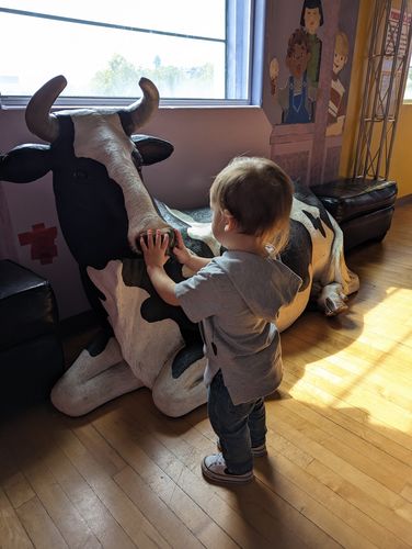 Customer photo review of Short Sleeve Hoodie - Grey