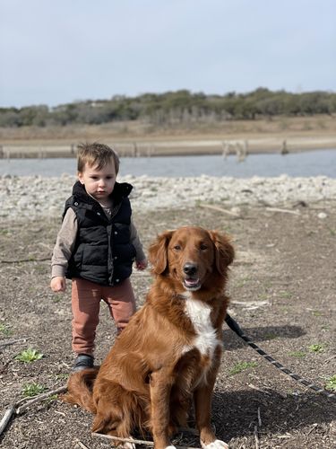 Customer photo review of Sherpa Lined Puffer Vest - Black