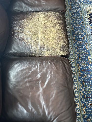 Customer photo review of Clyde's Leather Clean, Prep, and Condition Kit