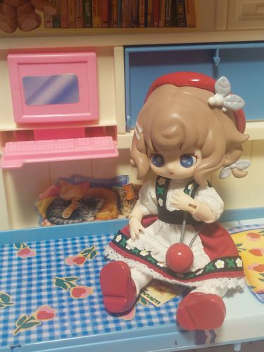 Customer photo review of Teennar Campus BJD Blind Box