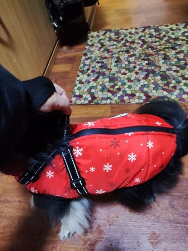 Customer photo review of Dog Coat - Winter Dog Jacket Australia