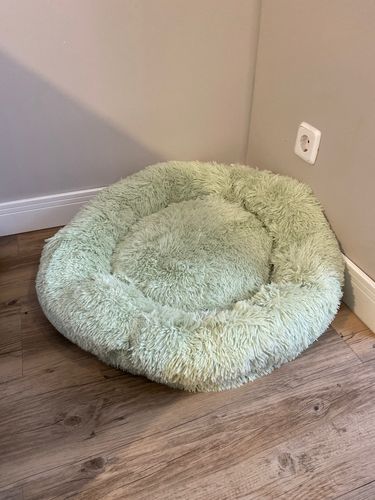 Customer photo review of Calming Dog Bed Australia | Anti Anxiety Dog Bed