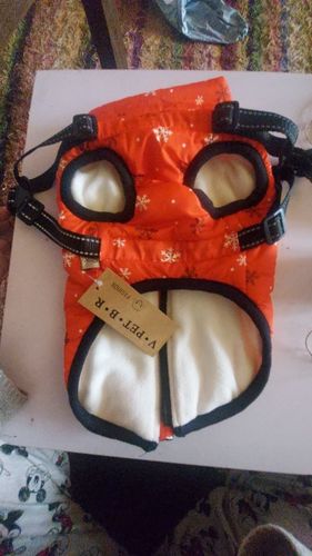 Customer photo review of Dog Coat - Winter Dog Jacket Australia