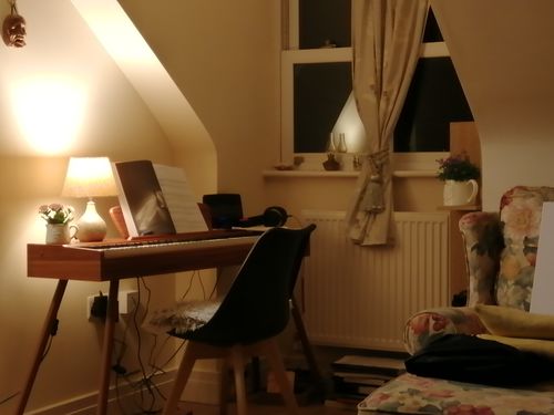 Customer photo review of Donner DDP-80 Wooden Style 88 Key Weighted Digital Piano with Stand & 3 Pedal