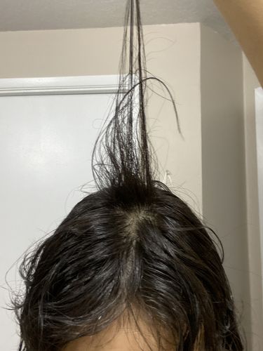 Stacy P. review of India’s Secret Ancient Ayurvedic Hair Follicle Elixir (4 sizes) image 1 out of 1