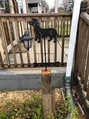 Customer photo review of Dachshund Decorative Welcome Yard Sign with Solar Night Light