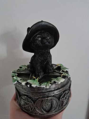 Customer photo review of Ivy Familiar Box