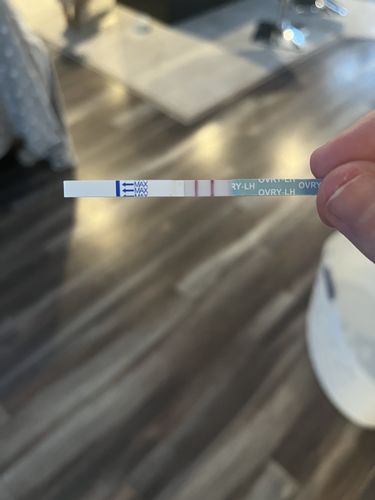 Customer photo review of Ovulation Test Strips