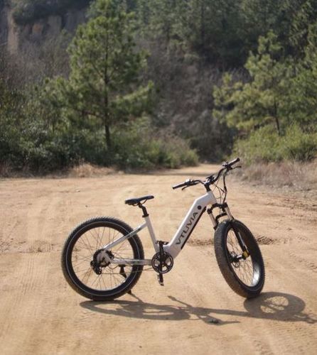 Customer photo review of VTUVIA Reindeer 26 Inch Step-Thru Fat Tire E-Bike
