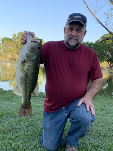 Customer photo review of 9pack - Amazing ShrimpBaitX™ Fishing Lures