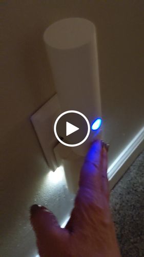 Customer video review of Eucalyptus Essential Oil (2-Pack)