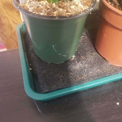 Customer photo review of Kapmat By Yard