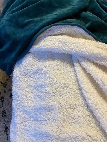 Customer photo review of Waterproof Splash blanket™ - Emerald Green The OG