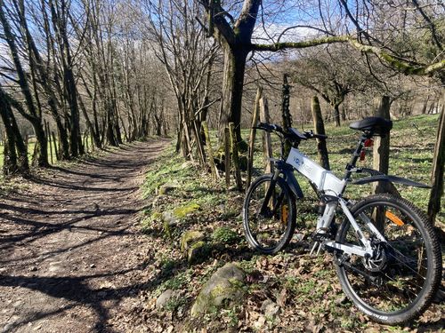 Customer photo review of VOLTAGE K1V 250W 26" Foldable Electric Mountain Bike 10.4Ah 25km/h 70km No Throttle